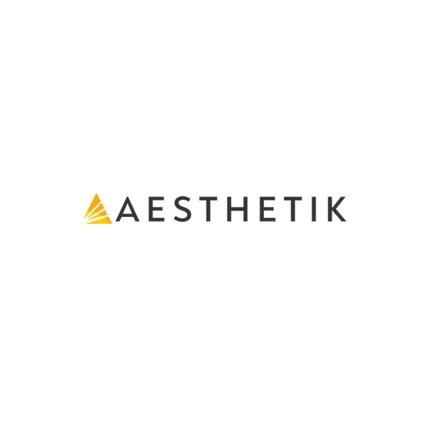 Aesthetik Engineers Limited IPO 2024: Date, Price, GMP, Allotment Details, Objective