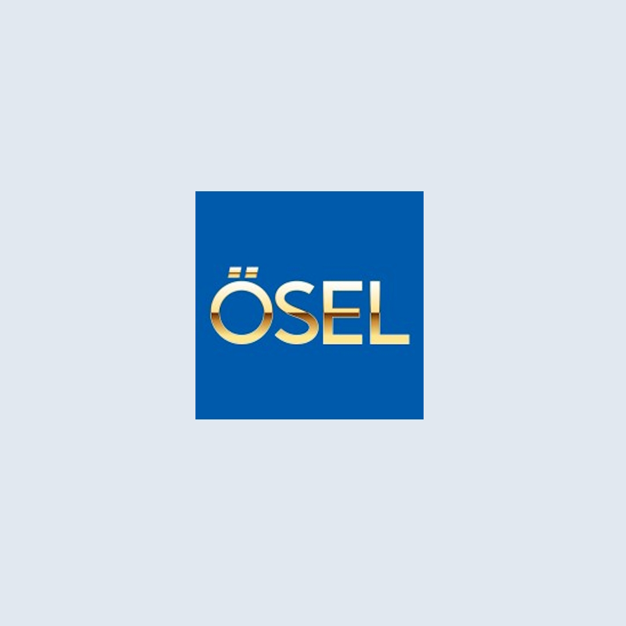 Osel Devices Limited IPO